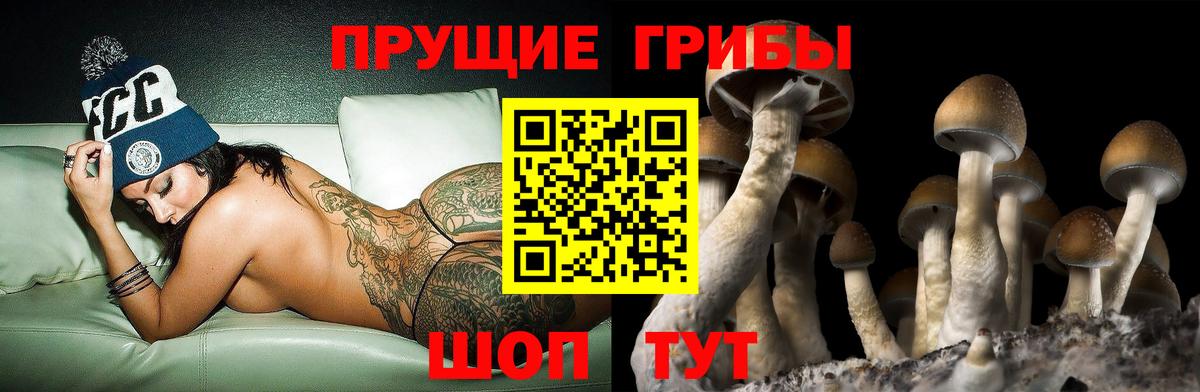 Псилоцибиновые грибы MAGIC MUSHROOMS  Псилоцибиновые грибы ЛСД  Вход с VPN  Ижевск 